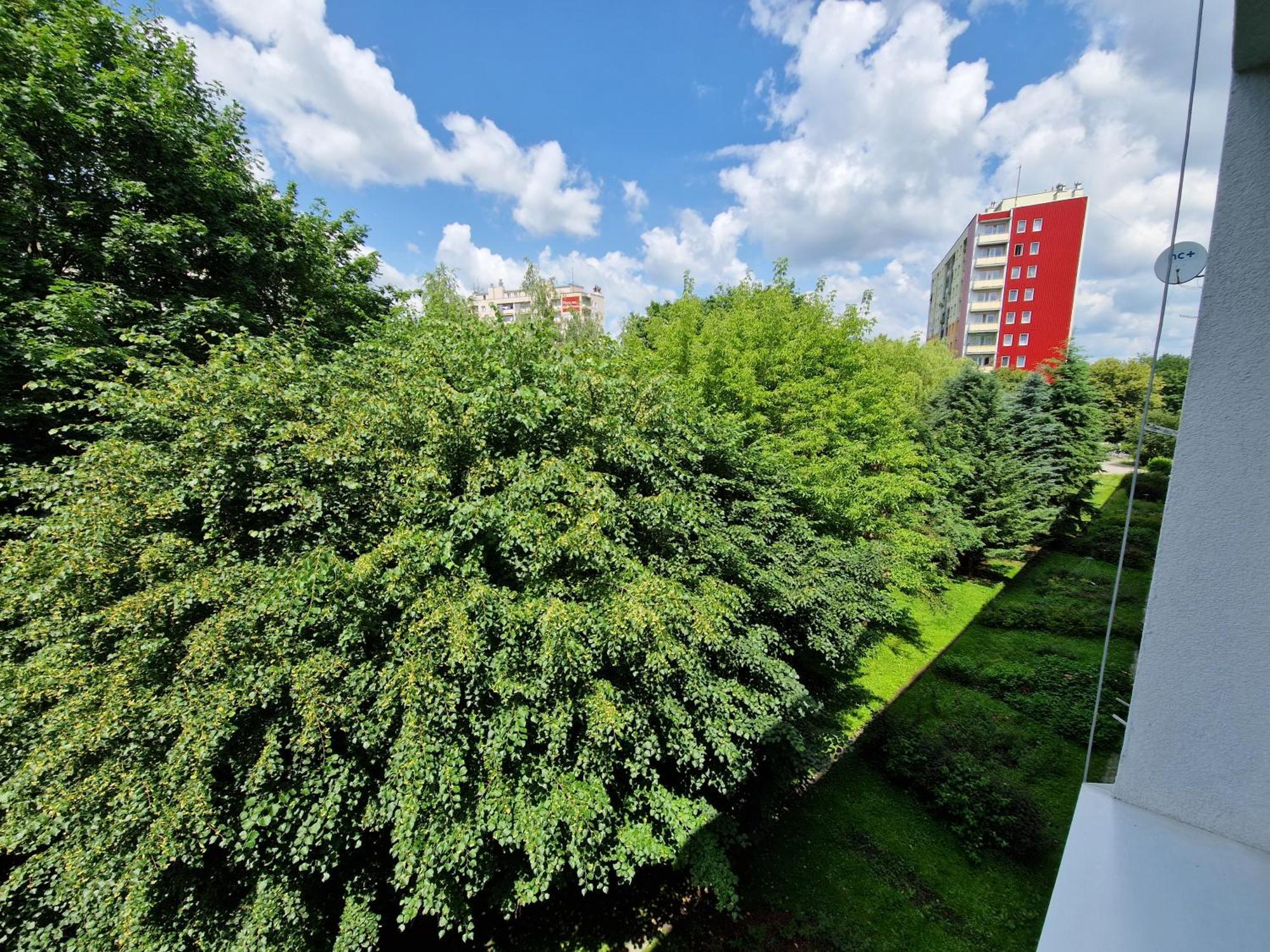 Sienkiewicza Apartament Multi House Rzeszów Exteriör bild